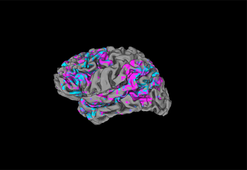 6d002f53ac8d8692d98e69b689e7033e_640_wx_fmt=gif&wxfrom=5&wx_lazy=1.gif